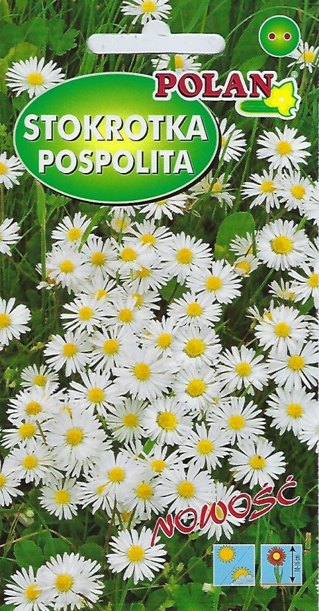 POLAN STOKROTKA POSPOLITA BIAŁA 0,2G