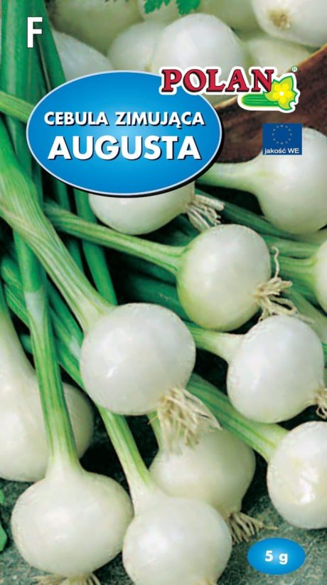 POLAN CEBULA AUGUSTA 5G