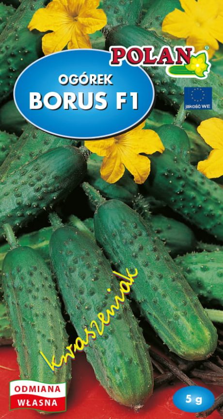 POLAN OGÓREK BORUS 5G