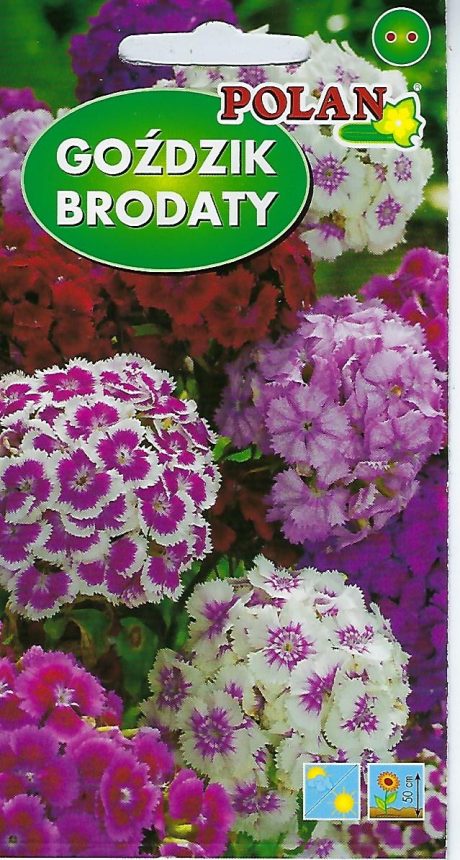 POLAN GOŻDZIK BRODATY MIX 2G