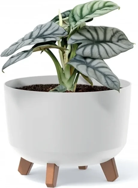 PROSPERPLAST DONICZKA GRACIA STANDARD DGRL350 BIAŁA