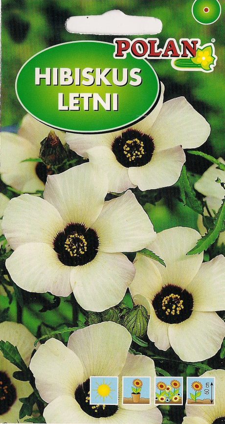 POLAN KETMIA HIBISKUS LETNI 1G