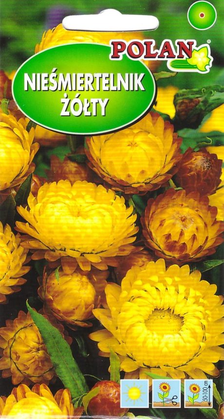 POLAN KOCANKA ŻÓŁTA 1G