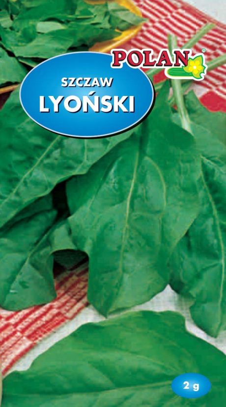 POLAN SZCZAW LYOŃSKI 2G