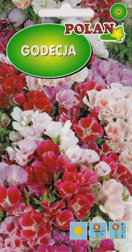 POLAN GODECJA WIELKOWIATOWA MIX 1G