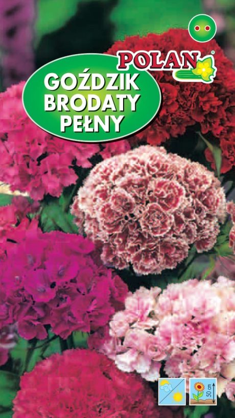 POLAN GOŹDZIK BRODATY PEŁNY WYSOKI MIX 2G