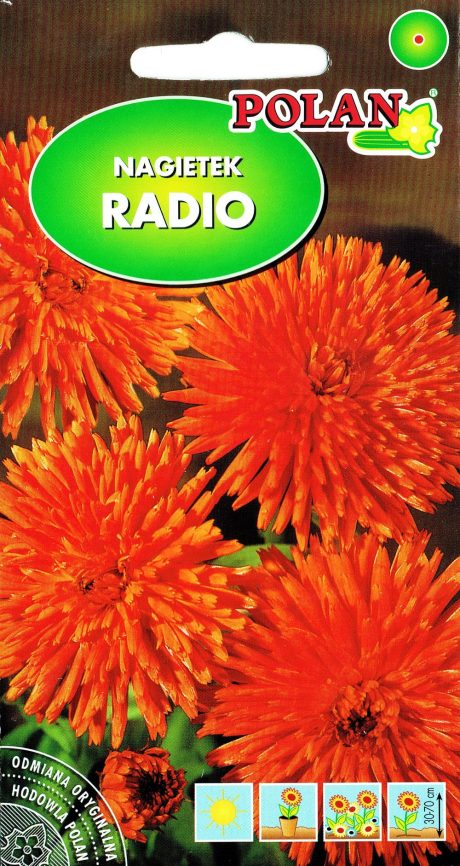 POLAN NAGIETEK WYSOKI RADIO 3G