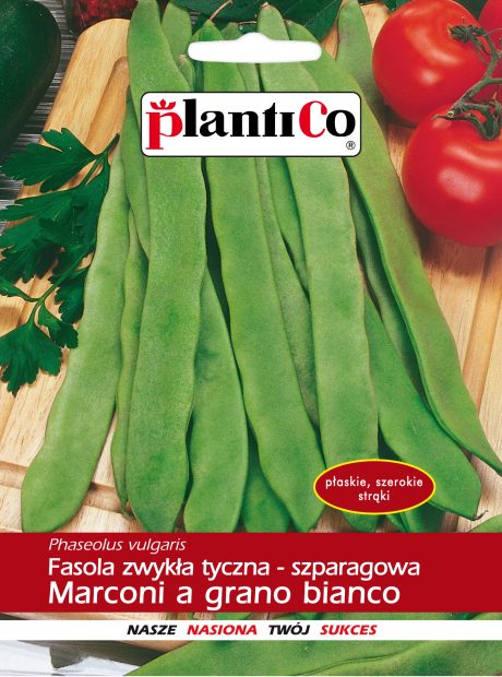PLANTICO FASOLA TYCZNA MARCONI 10G
