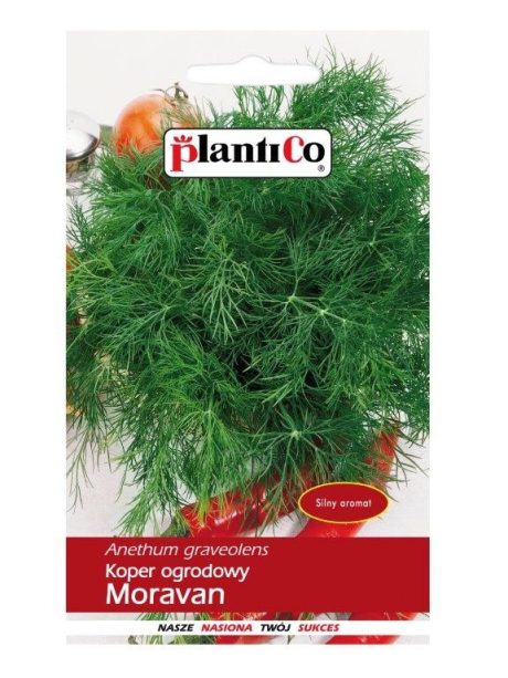 PLANTICO KOPER MORAVAN 5G