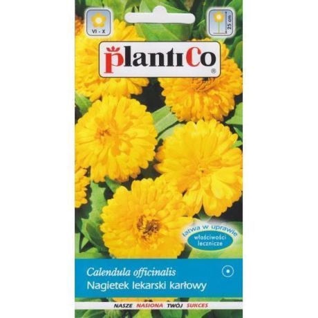 PLANTICO NAGIETEK LEKARSKI KARŁOWY ŻÓŁTY 2G