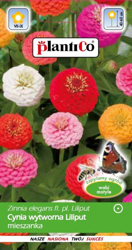 PLANTICO CYNIA DALIOWA LILIPUT MIX 1G