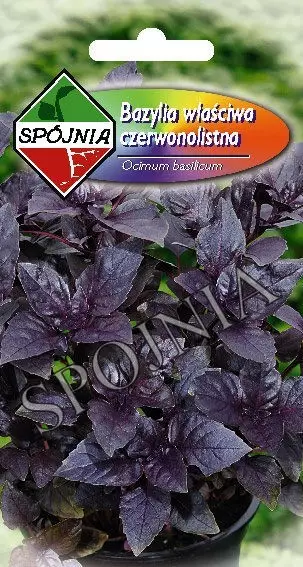 SPÓJNIA BAZYLIA CZERWONA 0,3G