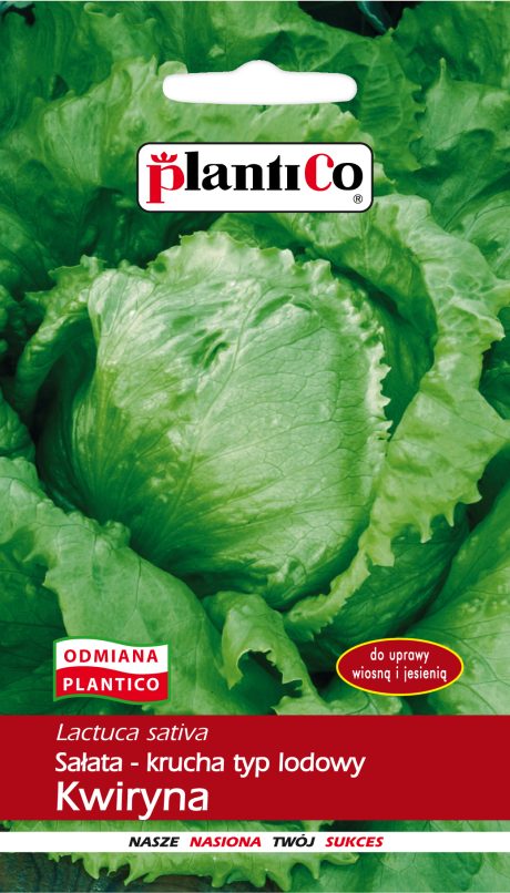 PLANTICO SAŁATA KWIRYNA 1,2G