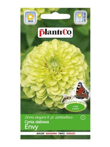 PLANTICO CYNIA DALIOWA ENVY 1G