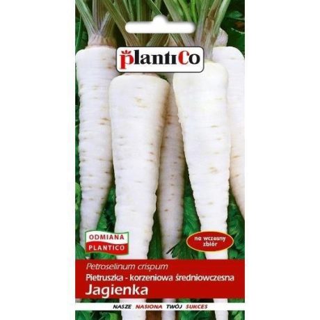 PLANTICO PIETRUSZKA JAGIENKA 5G