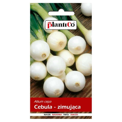 PLANTICO CEBULA AGRA 3G