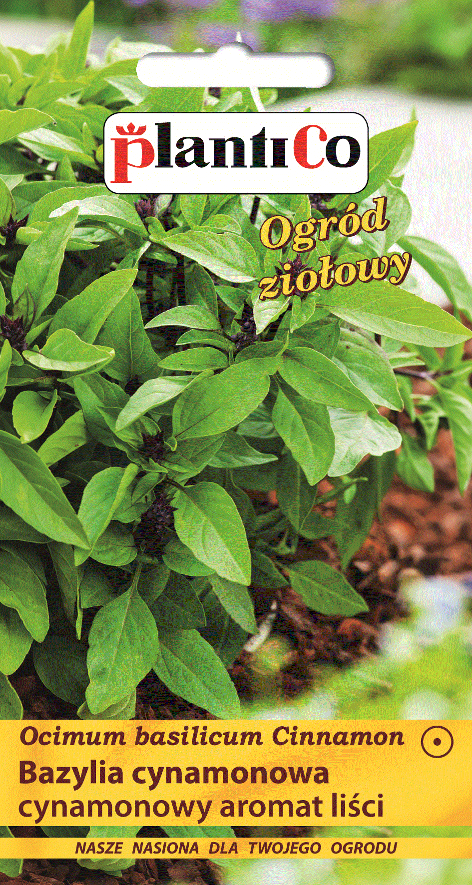 PLANTICO BAZYLIA CYNAMONOWA 0,5G