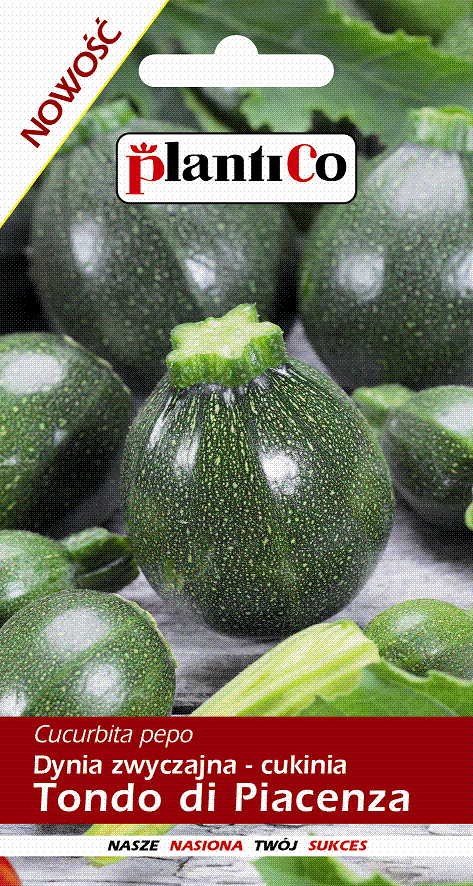 PLANTICO DYNIA CUKINIA TONDO DI PIACENZA 2G