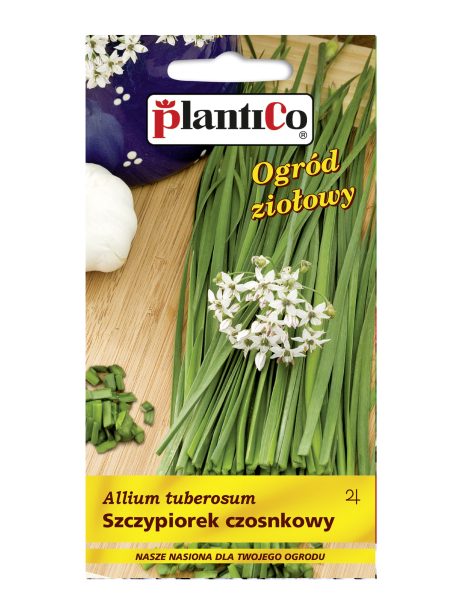 PLANTICO SZCZYPIOREK CZOSNKOWY  1G