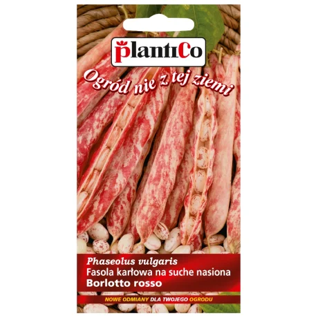 PLANTICO FASOLA KARŁOWA BORLOTTO 10G