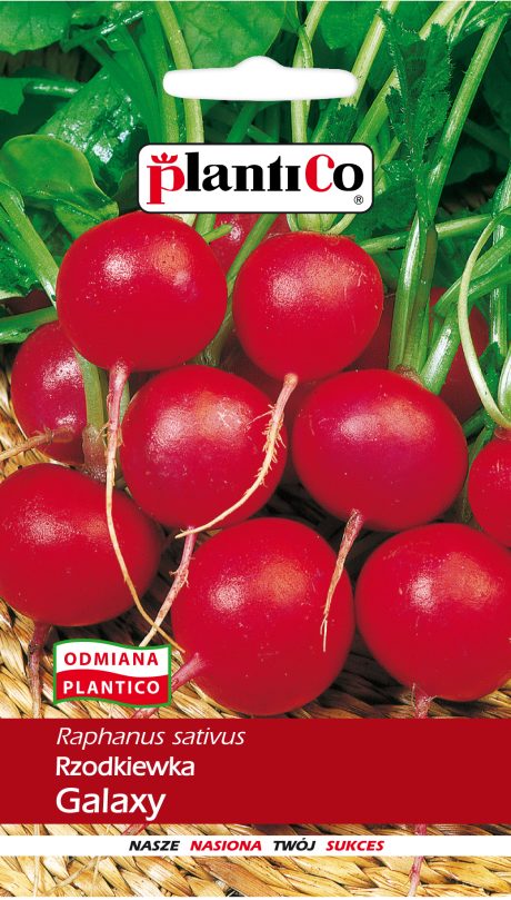 PLANTICO RZODKIEWKA GALAXY 10G