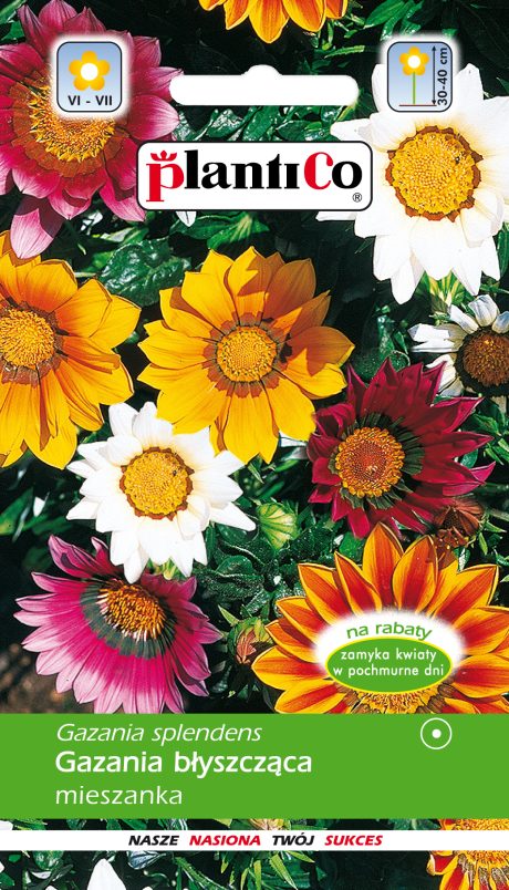 PLANTICO GAZANIA BŁYSZCZĄCA MIX 0,3G