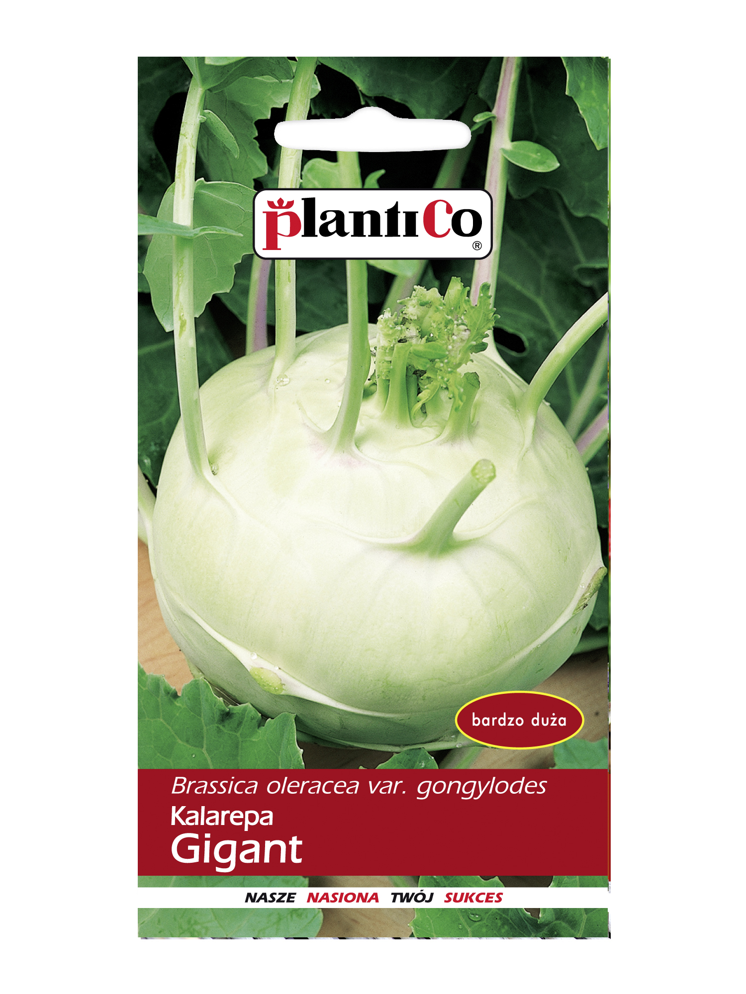 PLANTICO KALAREPA GIGANT 2G