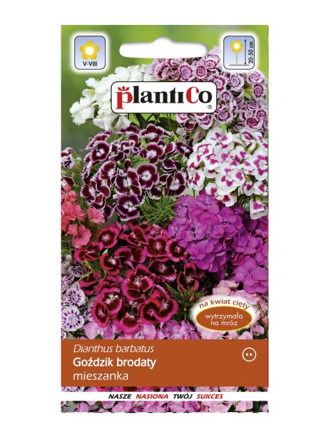 PLANTICO GOŹDZIK BRODATY MIX 0,5G