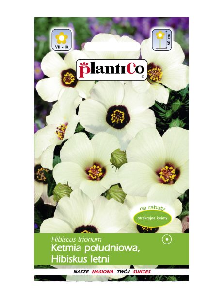 PLANTICO KETMIA POŁUDNIOWA 1G