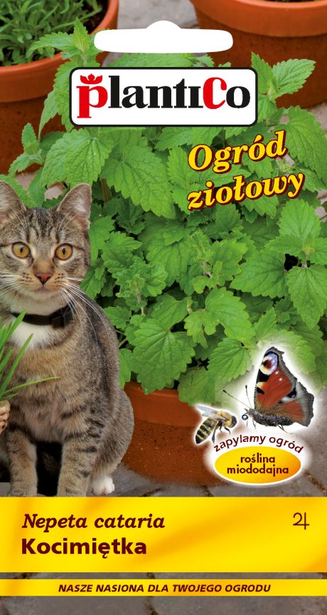 PLANTICO PLANTICO KOCIMIĘTKA 0,5G