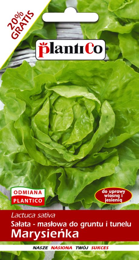 PLANTICO SAŁATA MARYSIEŃKA 1,2G