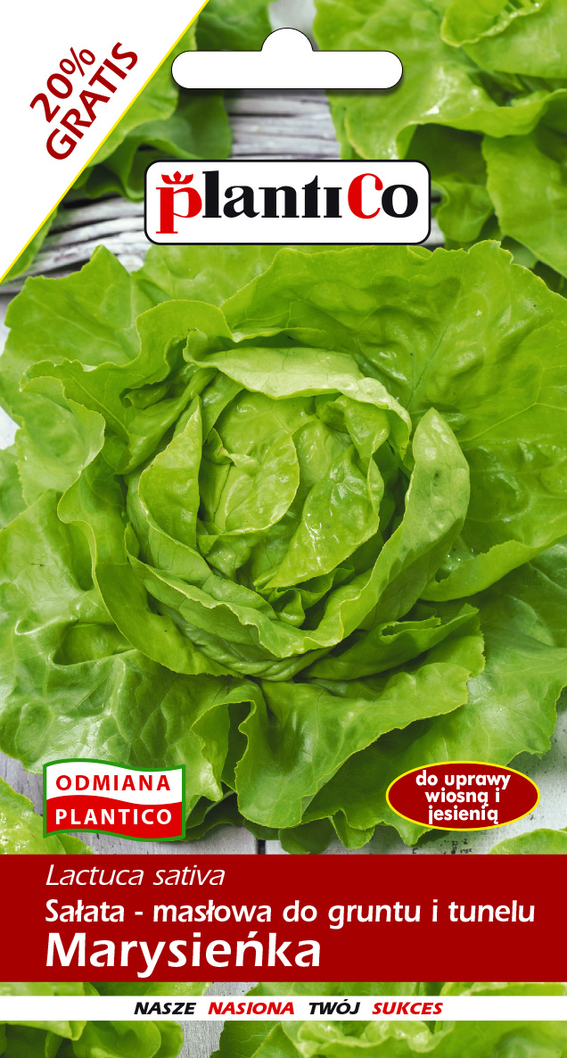 PLANTICO SAŁATA MARYSIEŃKA 1,2G