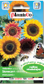 PLANTICO SŁONECZNIK OZDOBNY WYSOKI MIX 2G - obrazek 2