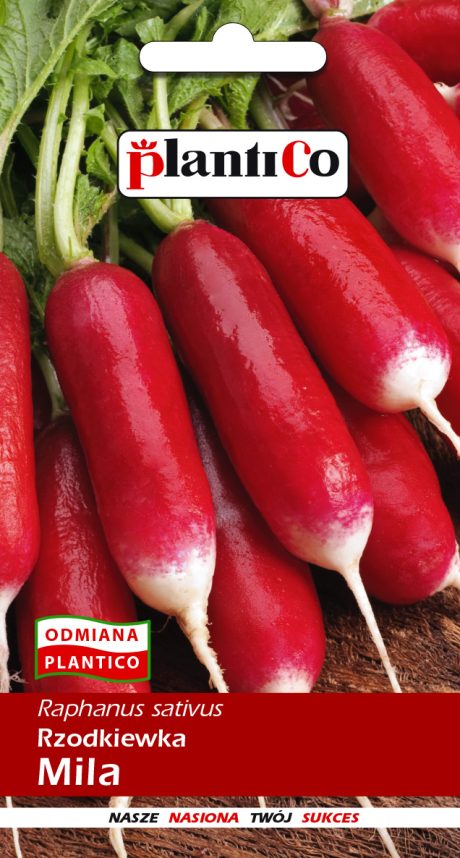 PLANTICO RZODKIEWKA MILA 10G