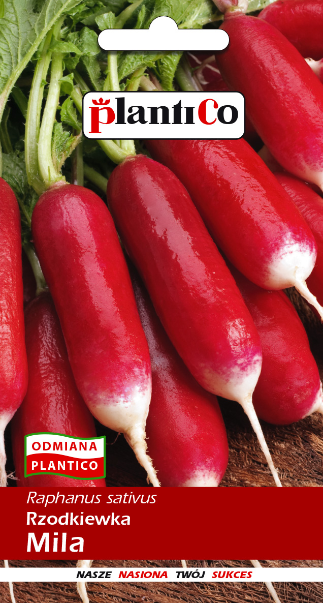 PLANTICO RZODKIEWKA MILA 10G