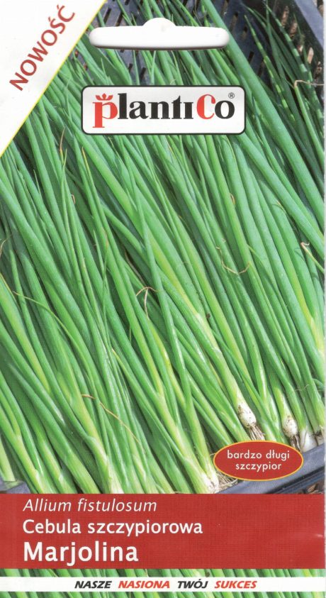 PLANTICO CEBULA SIEDMIOLATKA MARJOLINA 1G