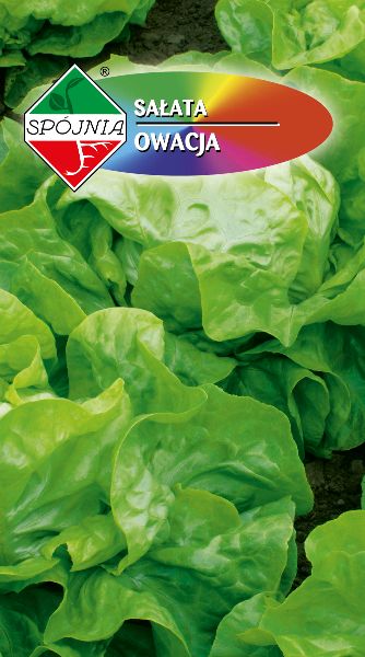 SPÓJNIA SAŁATA OWACJA 1G