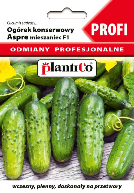 PLANTICO OGÓREK ASPRE 2G