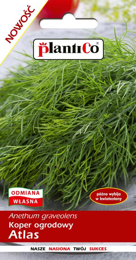 PLANTICO KOPER ATLAS 5G