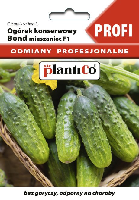 PLANTICO OGÓREK BOND 2