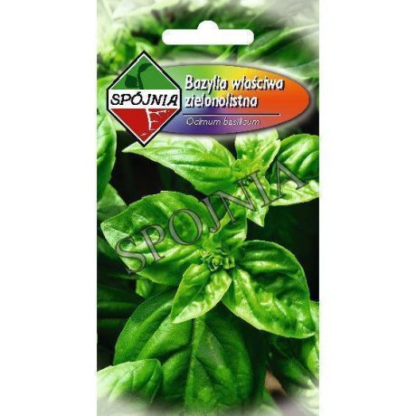 SPÓJNIA BAZYLIA WŁAŚCIWA 1G