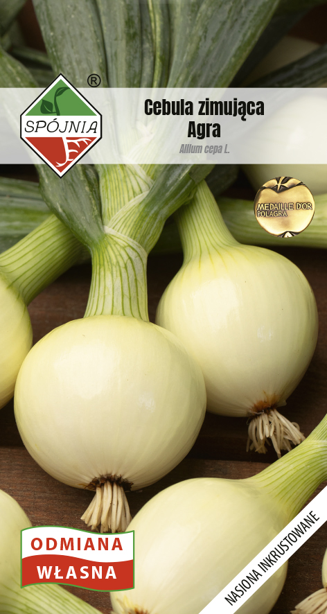 SPÓJNIA CEBULA AGRA 3G