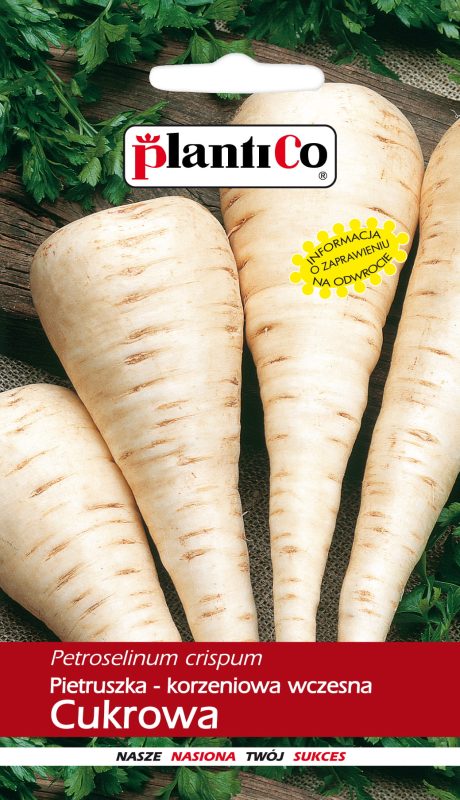 PLANTICO PIETRUSZKA CUKROWA 5G