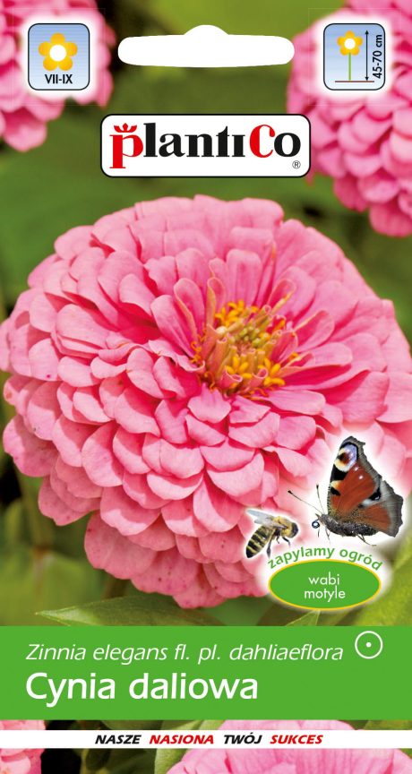 PLANTICO CYNIA DALIOWA ILLUMINATION 1G