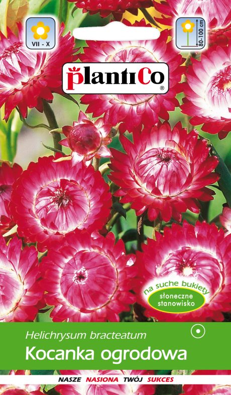 PLANTICO KOCANKA OGRODOWA RÓŻOWA 1G