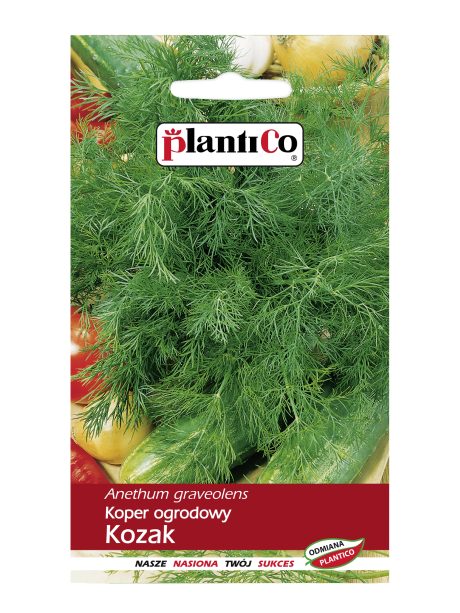 PLANTICO KOPER KOZAK 6G
