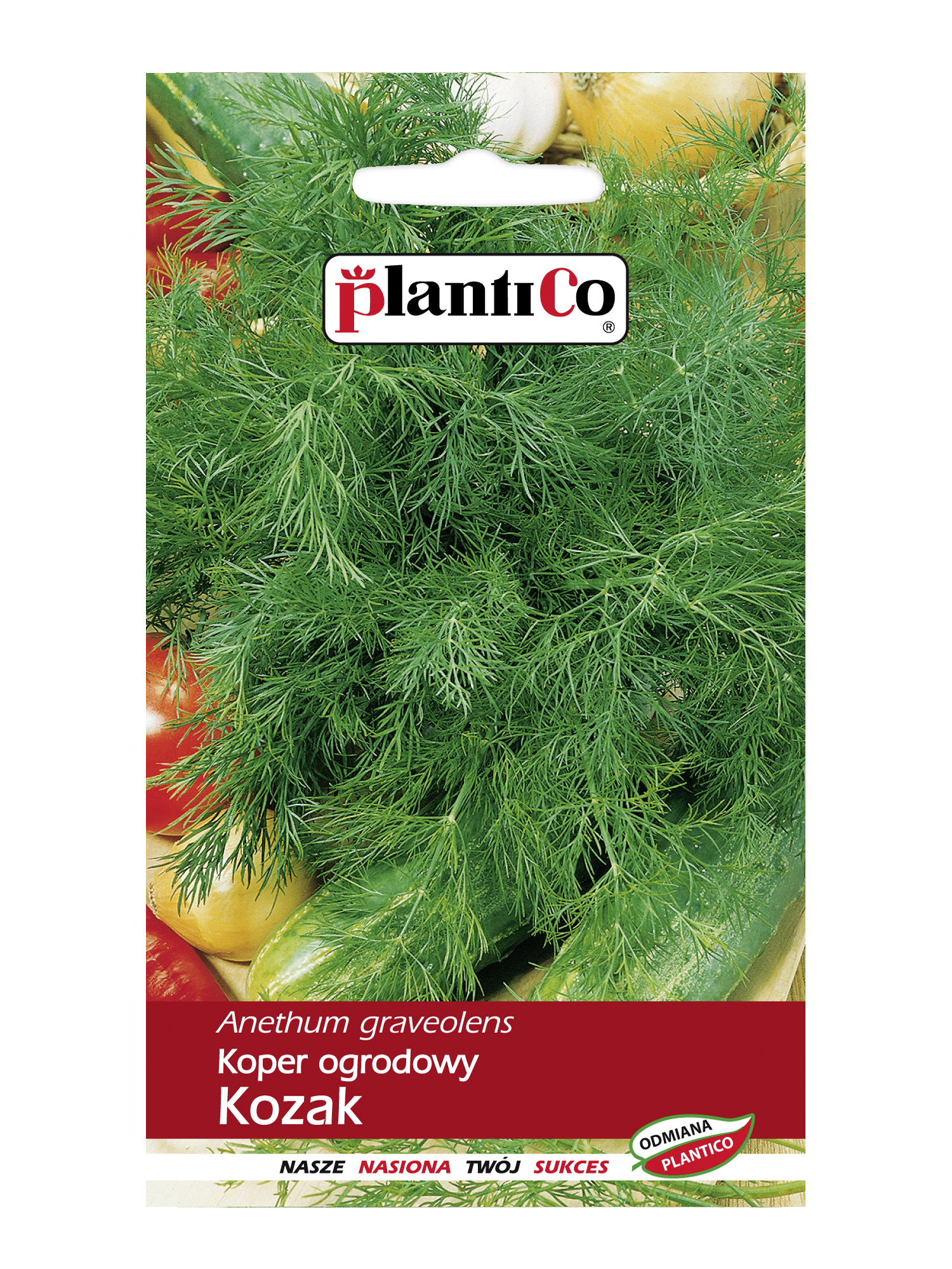 PLANTICO KOPER KOZAK 6G