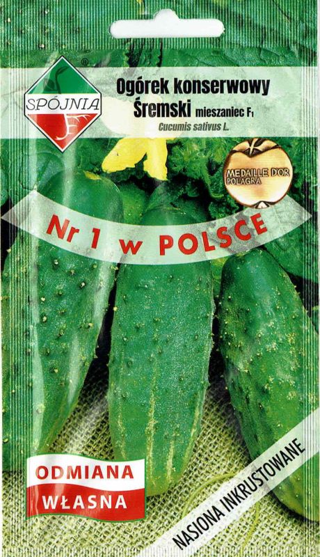 SPÓJNIA OGÓREK ŚREMSKI 2G