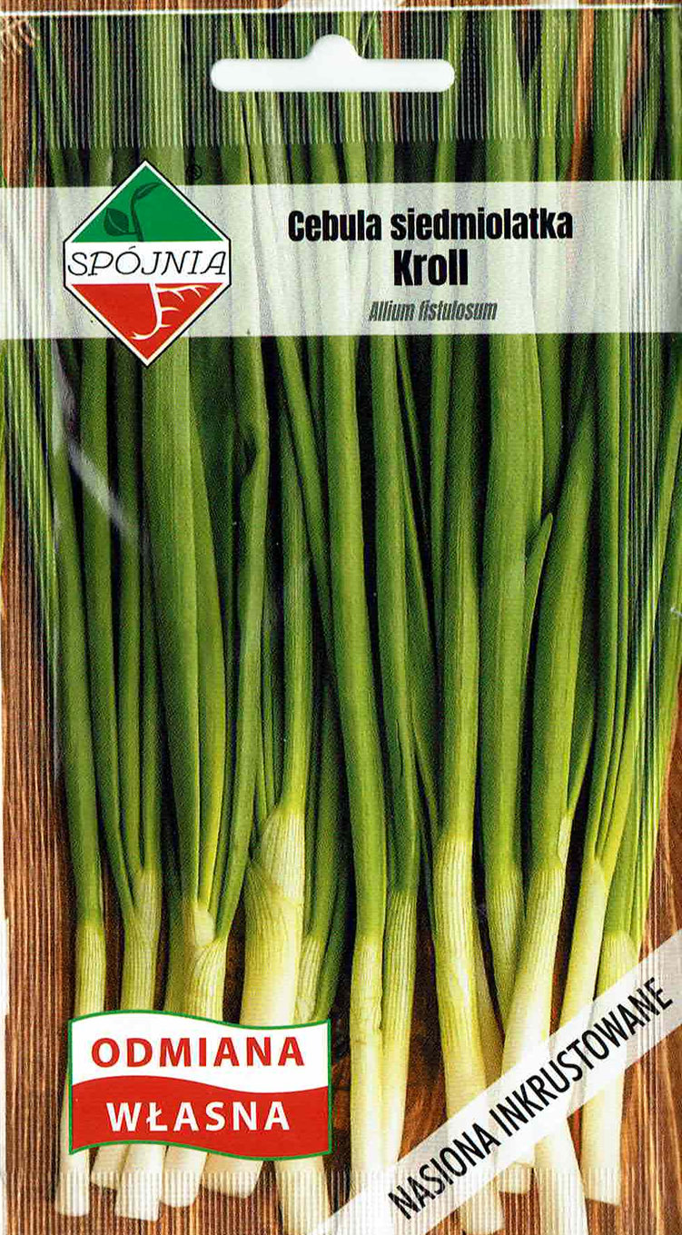 SPÓJNIA CEBULA SIEDMIOLATKA KROLL 2G