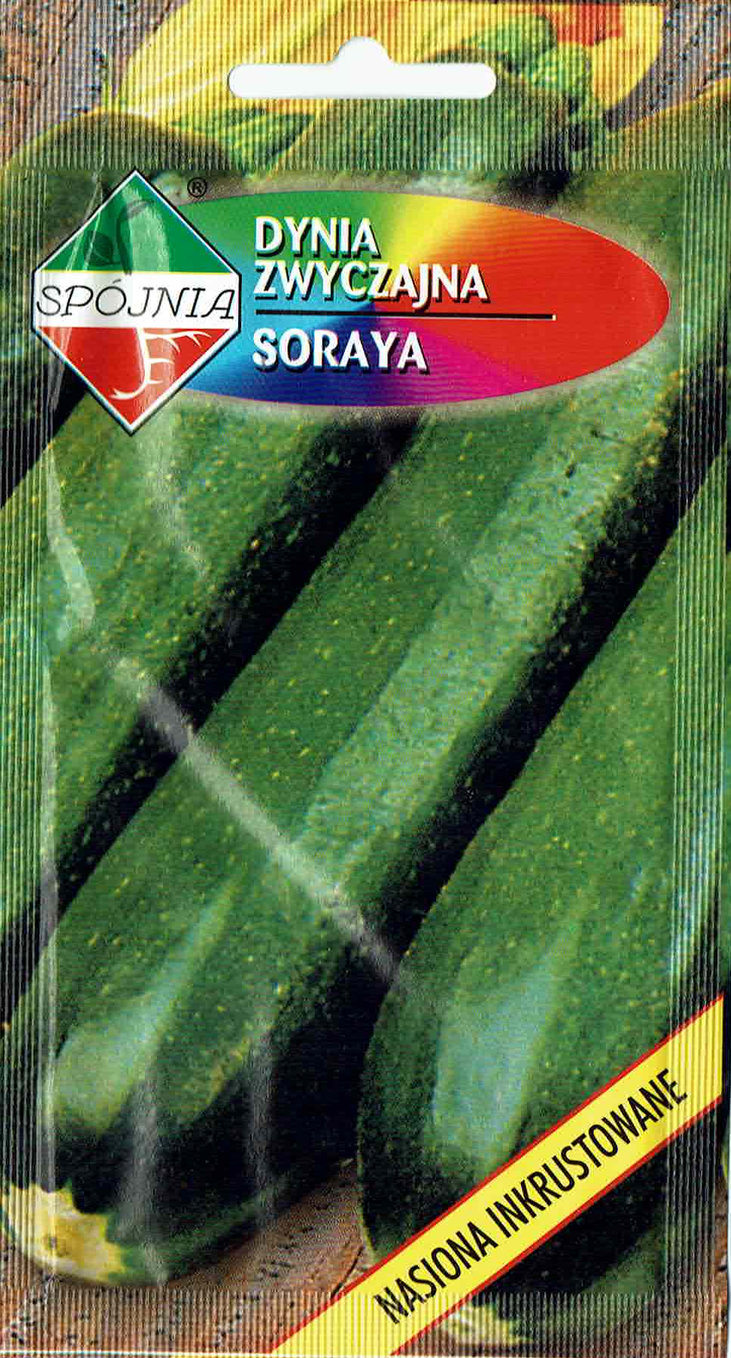 SPÓJNIA CUKINIA SORAYA 5G